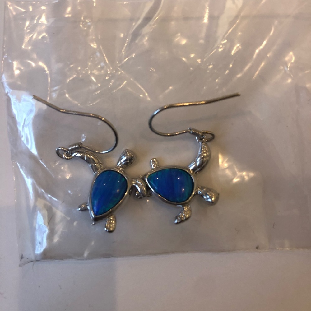 Silver/ blue turtle earrings from Hawaii